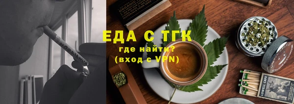 прущие грибы Елабуга