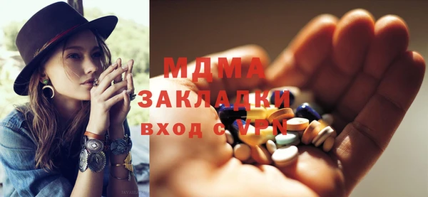 прущие грибы Елабуга