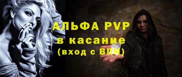 прущие грибы Елабуга