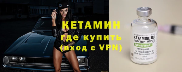 прущие грибы Елабуга