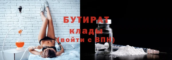 прущие грибы Елабуга
