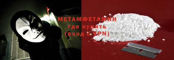 прущие грибы Елабуга