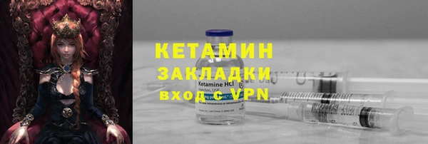 прущие грибы Елабуга