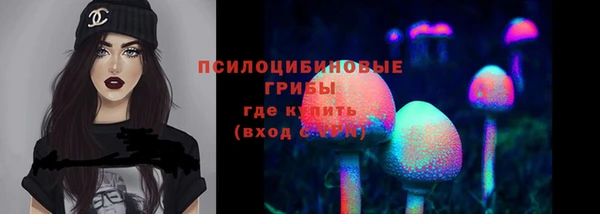 прущие грибы Елабуга