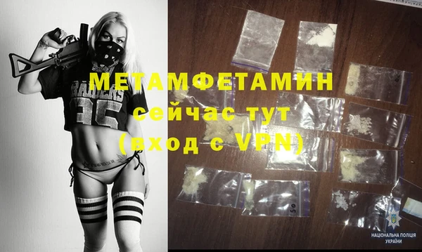 прущие грибы Елабуга