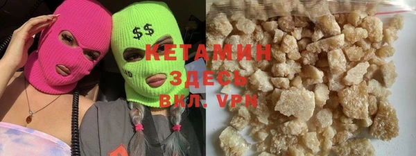 прущие грибы Елабуга