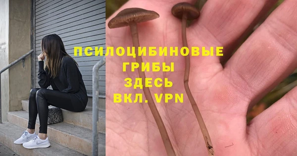 МДМА Ельня
