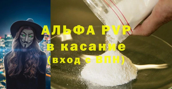 прущие грибы Елабуга