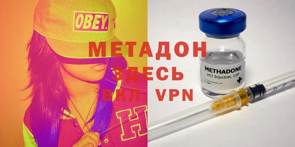 прущие грибы Елабуга