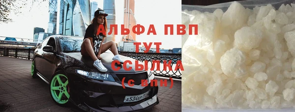 прущие грибы Елабуга